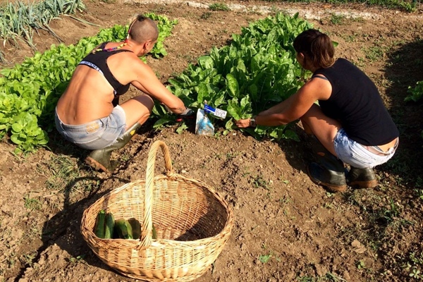 EROGAZIONE PREMIO TERRITORIALE DI RISULTATO (PTR)